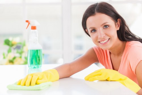 Secure online payment interface for Home Cleaners London