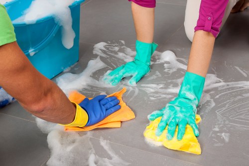 Risk assessment before domestic cleaning in a London home