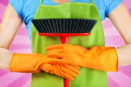 Kitchen and bathroom domestic cleaning tasks in a London home