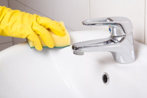 PPE used by home cleaners London during cleaning tasks