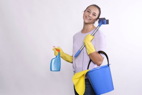 Professional cleaner preparing equipment for a London window cleaning job