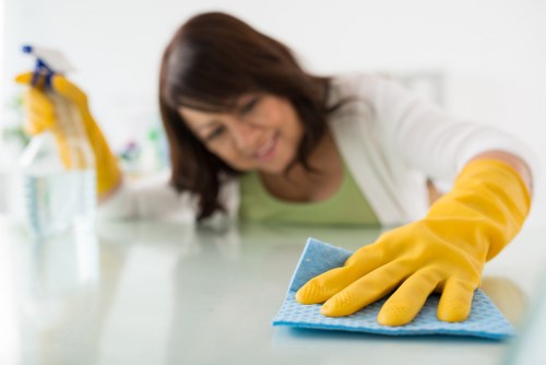 Professional oven cleaning service for London homes and flats