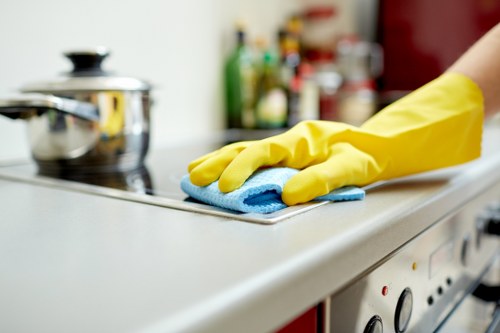 Deep cleaning oven racks and interior surfaces in a London kitchen