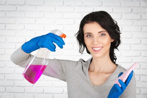 Kitchen cleaning service in a London home with polished surfaces
