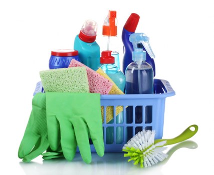 Reviewing a domestic cleaning issue with notes and records
