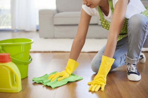 Home Cleaners London combining safety and professional standards